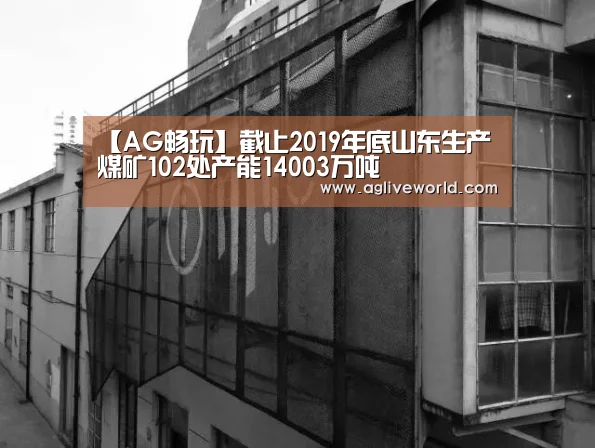 【AG畅玩】截止2019年底山东生产煤矿102处产能14003万吨(图2) AG掌上