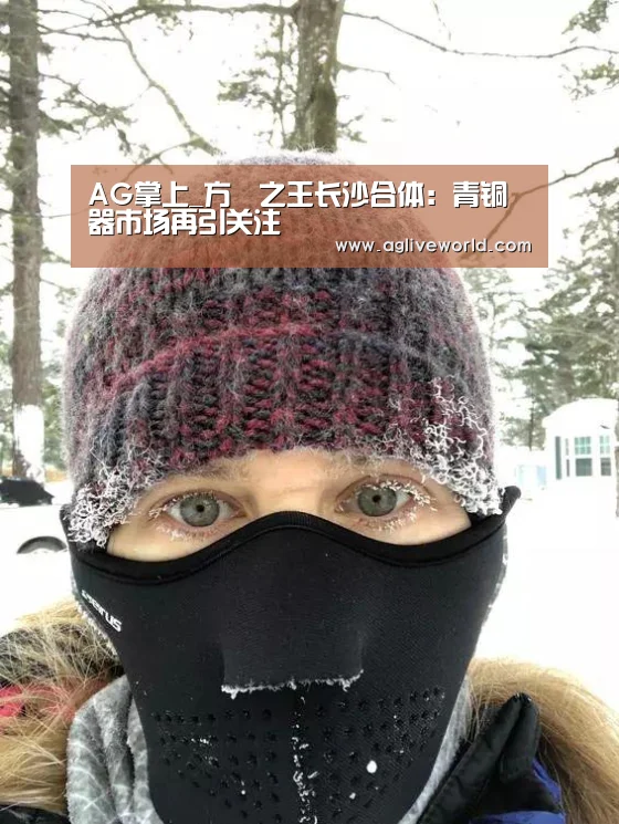 AG掌上_方罍之王长沙合体:青铜器市场再引关注(图1) AG畅玩