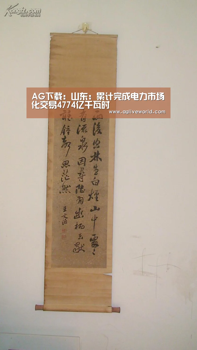 AG下载:山东:累计完成电力市场化交易4774亿千瓦时(图2) AG下载:山东:累计完成电力市场化交易4774亿千瓦时(图2)