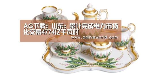 AG下载:山东:累计完成电力市场化交易4774亿千瓦时(图3) AG下载