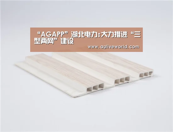 “AGAPP”湖北电力:大力推进“三型两网”建设(图2) AG下载