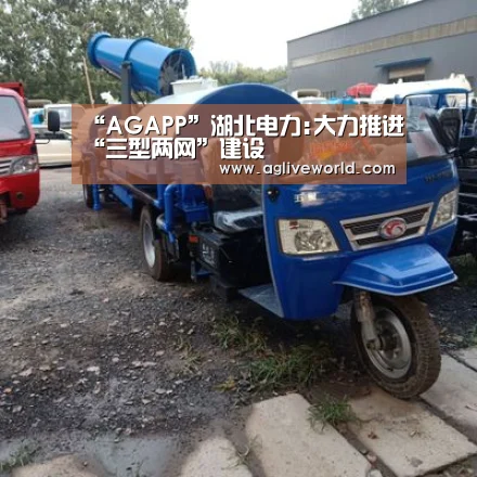 “AGAPP”湖北电力:大力推进“三型两网”建设(图1) AG掌上