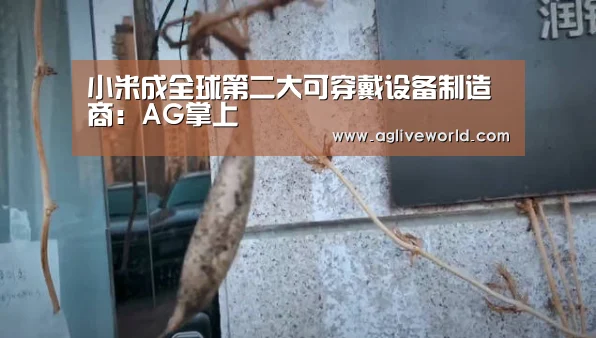 小米成全球第二大可穿戴设备制造商:AG掌上(图1) AG掌上