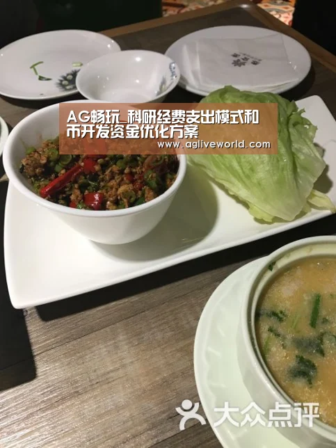 AG畅玩_科研经费支出模式和币开发资金优化方案(图2) AG下载
