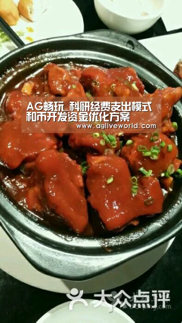 AG畅玩_科研经费支出模式和币开发资金优化方案(图1) AG掌上