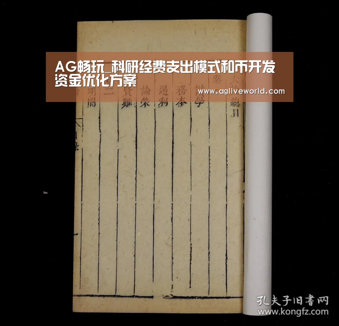AG畅玩_科研经费支出模式和币开发资金优化方案(图3) AG下载