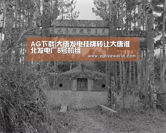 AG下载|大唐发电挂牌转让大唐淮北发电厂8号机组(图3) AG畅玩