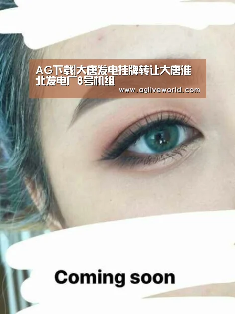 AG下载|大唐发电挂牌转让大唐淮北发电厂8号机组(图1) AG畅玩